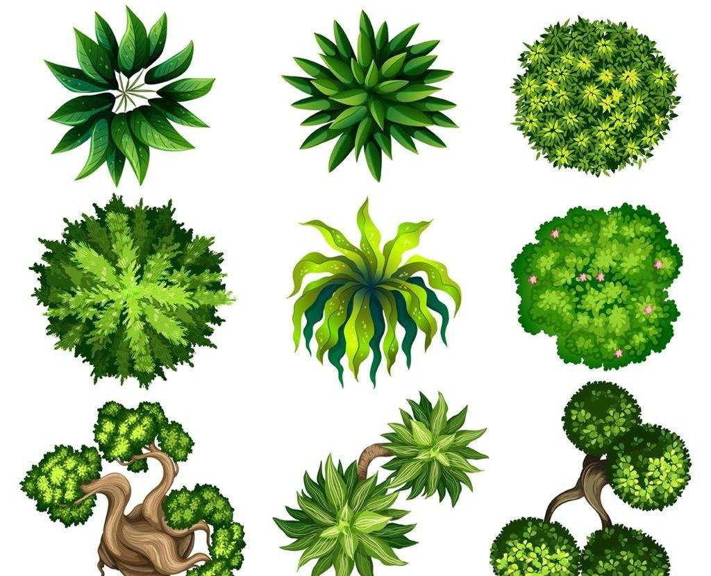 可以凈化室內(nèi)空氣的植物，這二十種您需要好好了解一下！
