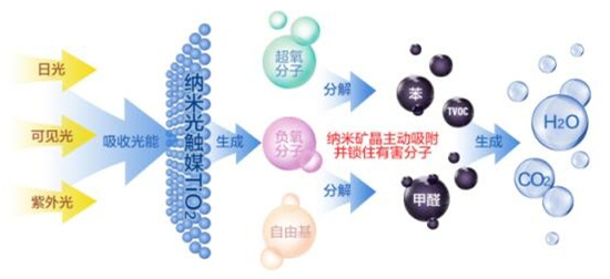 洋蔥可以除甲醛？民間流傳土方法可信嗎？