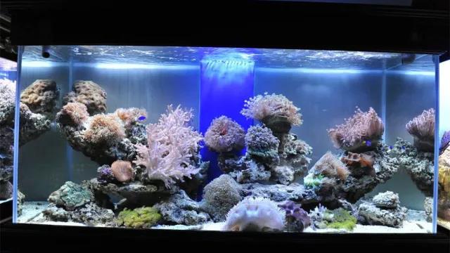 家中旺位和衰位在哪里？三分鐘學習室內(nèi)風水學