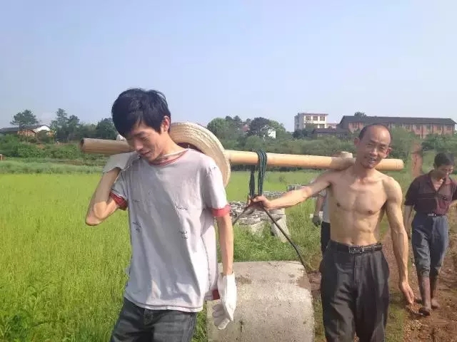 青春是用來(lái)奮斗的，除甲醛的青春最美麗！