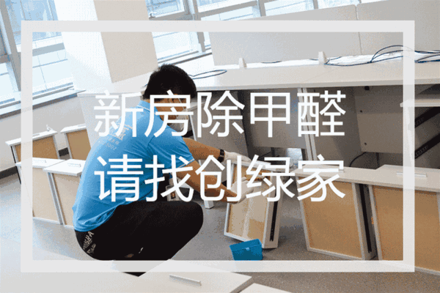 誰說***是多么寂寞，創(chuàng)綠家?guī)惺芟略?00強企業(yè)工作是怎樣的體驗！