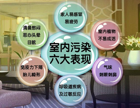 去甲醛加盟怎么樣？三點選址技巧讓您生意火爆