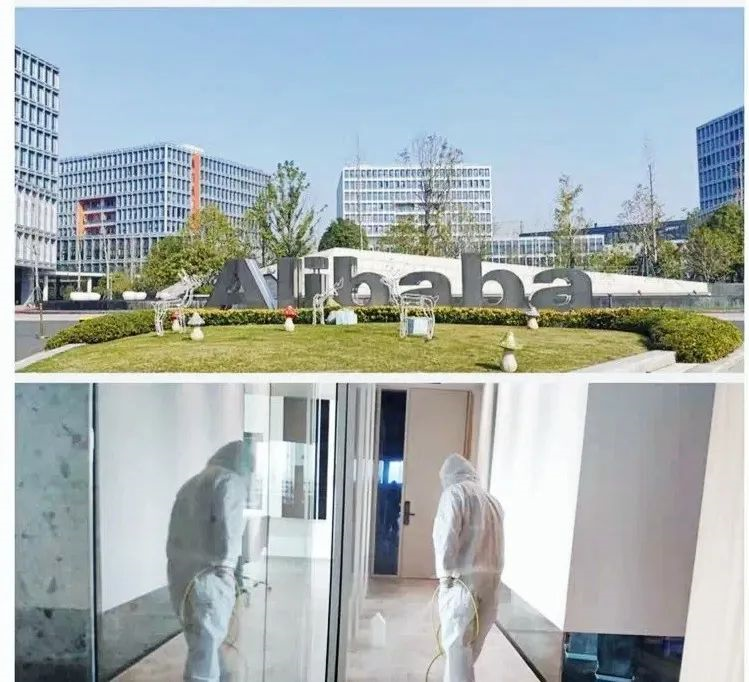 吾志所向，一往無(wú)前 | 創(chuàng)綠家2020年大事記