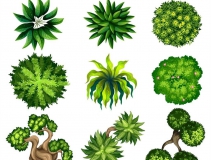 可以凈化室內(nèi)空氣的植物，這二十種您需要好好了解一下！