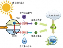 什么甲醛治理辦法效果好持續(xù)時間長？