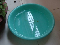 裝修完僅靠兩盆冷水就能除甲醛？這個說法連網(wǎng)友都出來辟謠！大家別再相信了！