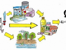 食品中有塑化劑嗎？這些食品中含有大量塑化劑，食用時一定要注意！