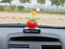 新車除醛，車內(nèi)除甲醛什么辦法最好？