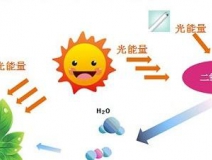 甲醛治理用什么辦法最正確？這三點常見的除甲醛辦法其實是誤區(qū)