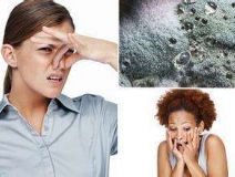 家里有異味怎么辦？科學(xué)除味、治理甲醛就對(duì)了！