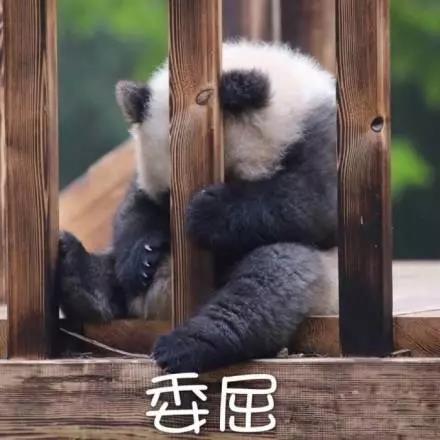 別大意！七大除甲醛“誤區(qū)”，信了你反而會(huì)生??！通風(fēng)、綠植、活性炭、熏蒸……你中招了嗎？