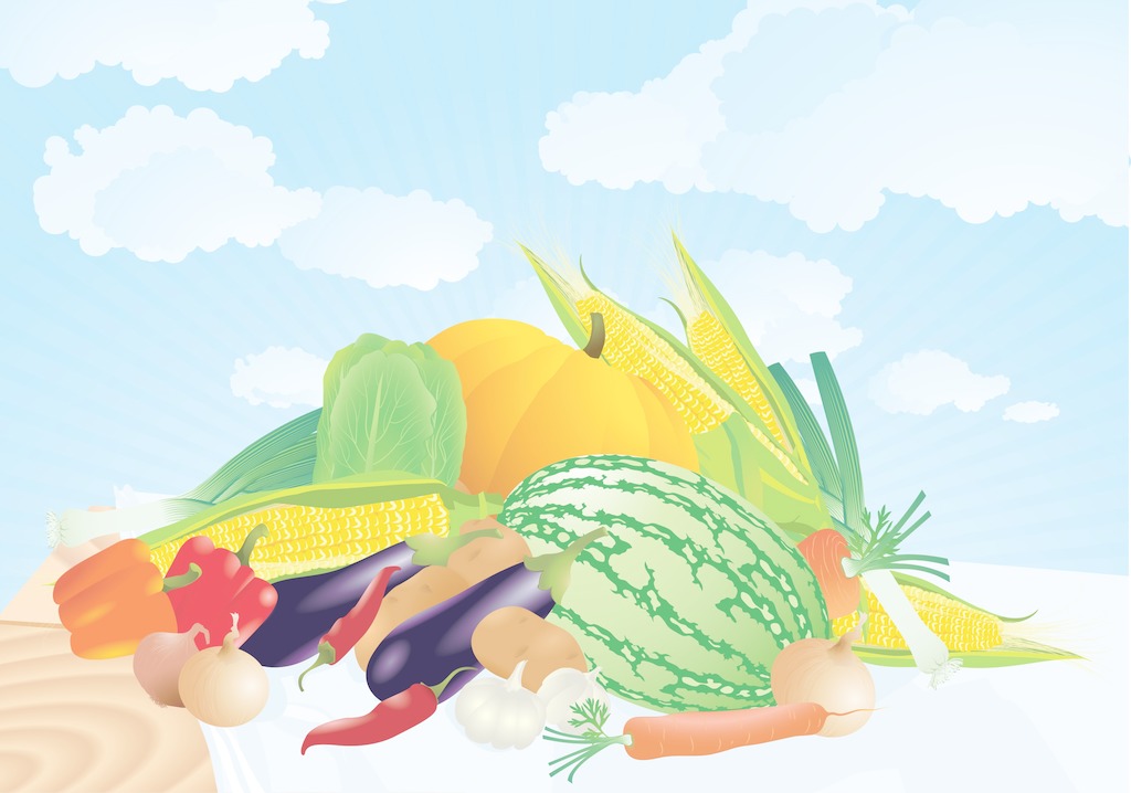 夏季找除甲醛公司有哪些需要注意的？