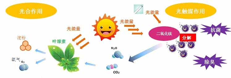 家中甲醛超標(biāo)，什么才是甲醛治理的正確姿勢？